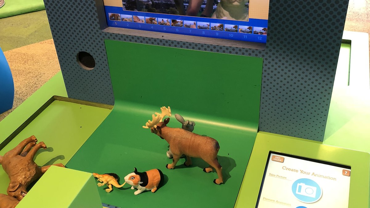 2D and 3D Animation Stations