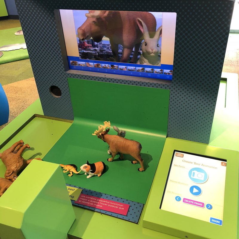 2D and 3D Animation Stations